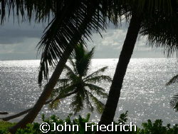 Picture taken June 2007 down in Belize.  We stayed just s... by John Friedrich 